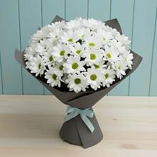 Букет цветов из:  Хризантемы #REPLACE_PRED# Чунском